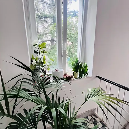 L'affitta Di Venezia 3*